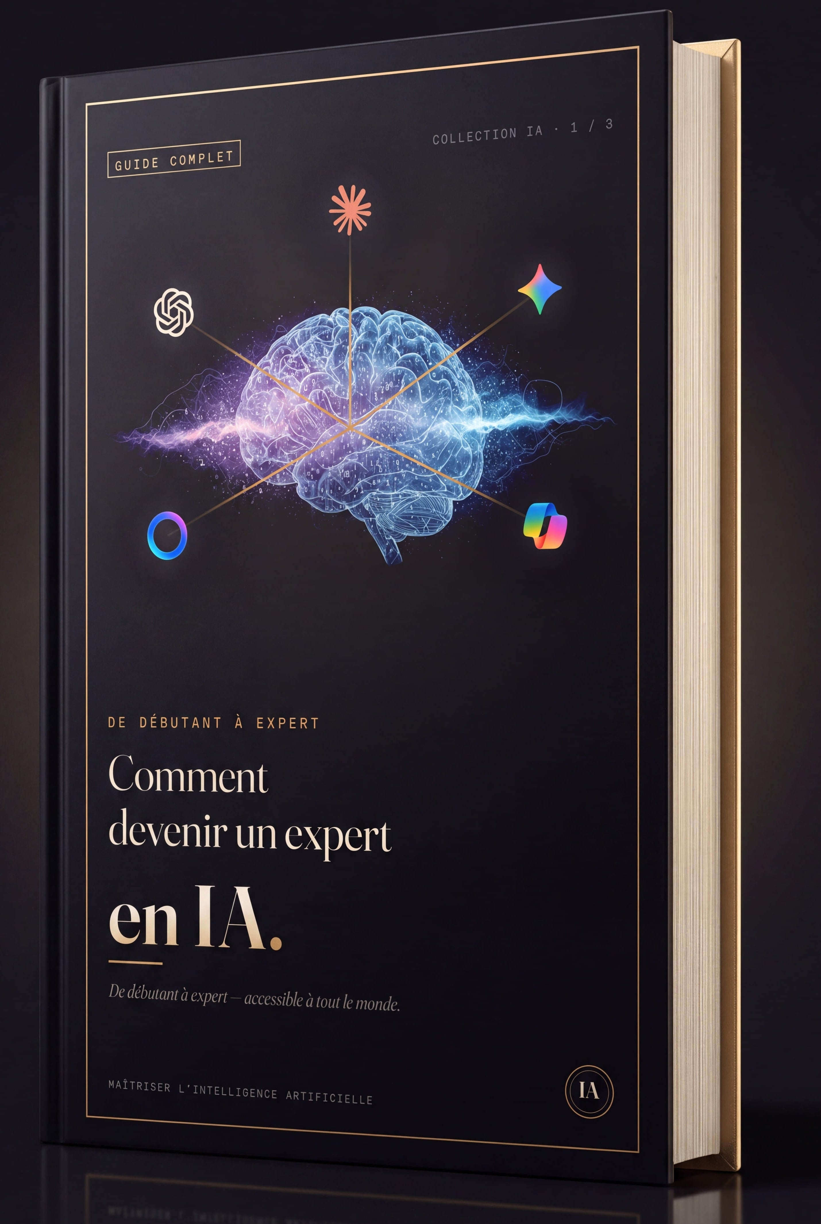 Comment devenir un expert en IA — De débutant à expert (PDF Téléchargeable)